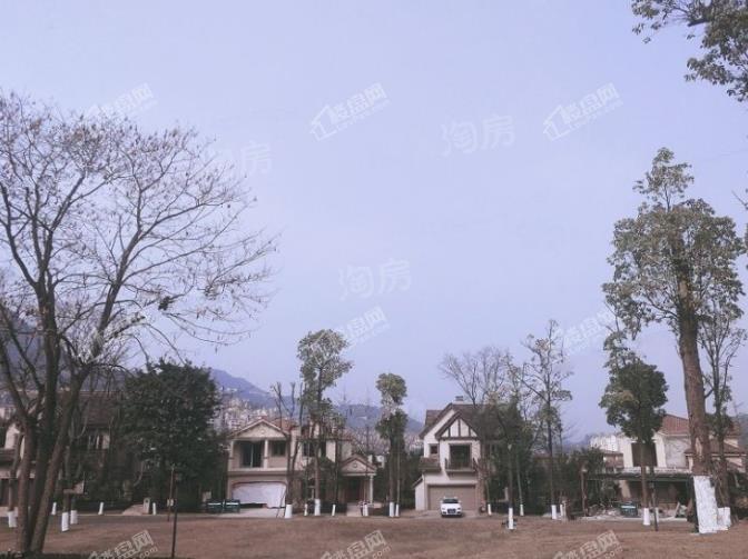 庆隆南山国际社区实景图