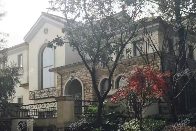 庆隆南山国际社区实景图