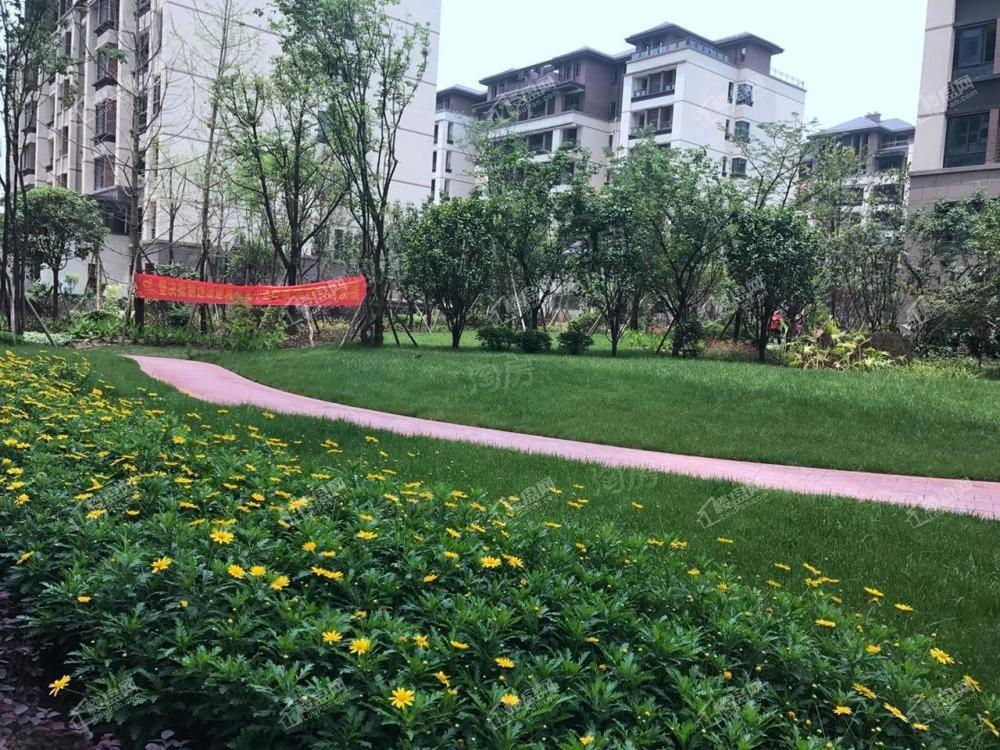 朵力迎宾大道实景图