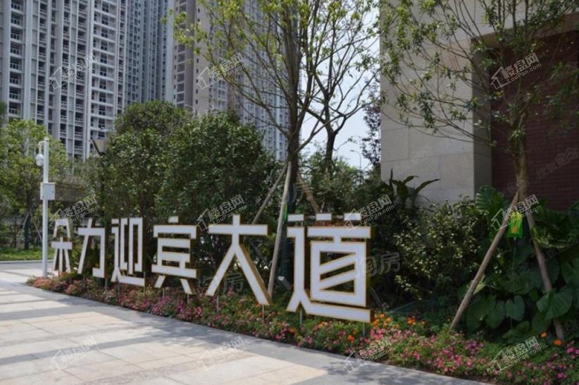 朵力迎宾大道实景图