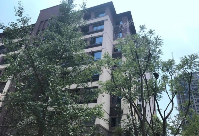 朵力迎宾大道实景图