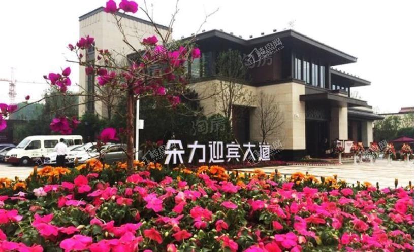 朵力迎宾大道实景图
