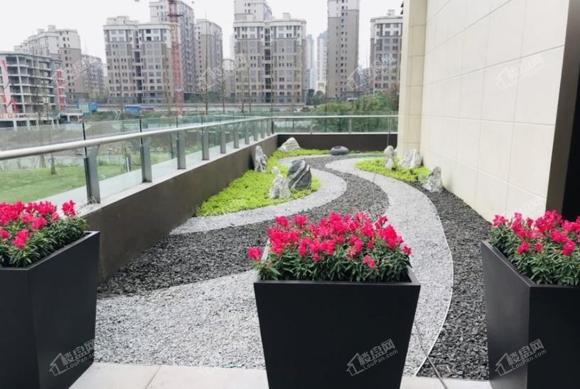 实景图