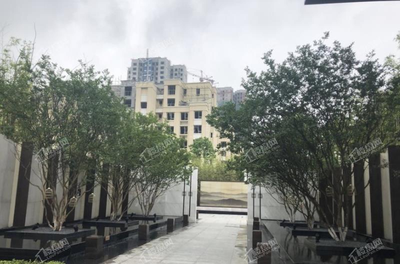 金辉碧桂园雅居乐麓铭府实景图