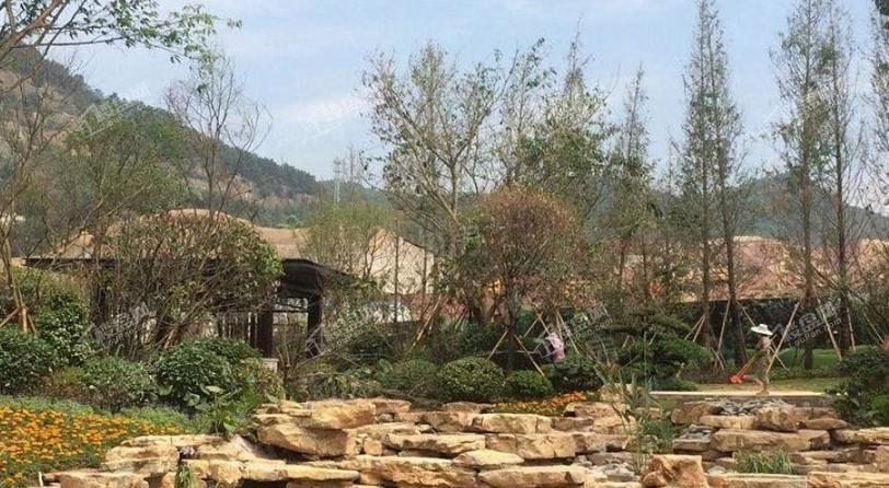 荣盛锦绣南山实景图