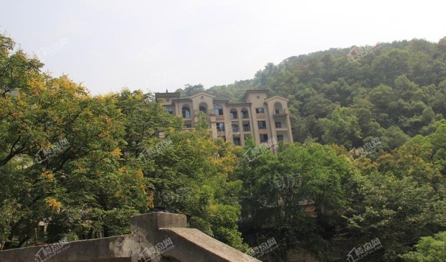 汤先生的山宿实景图