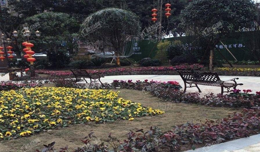 实景图