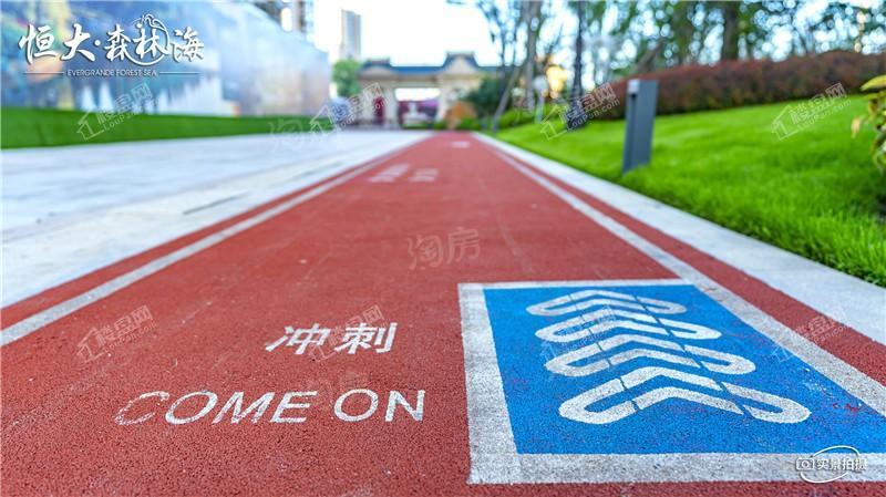 恒大森林海实景图