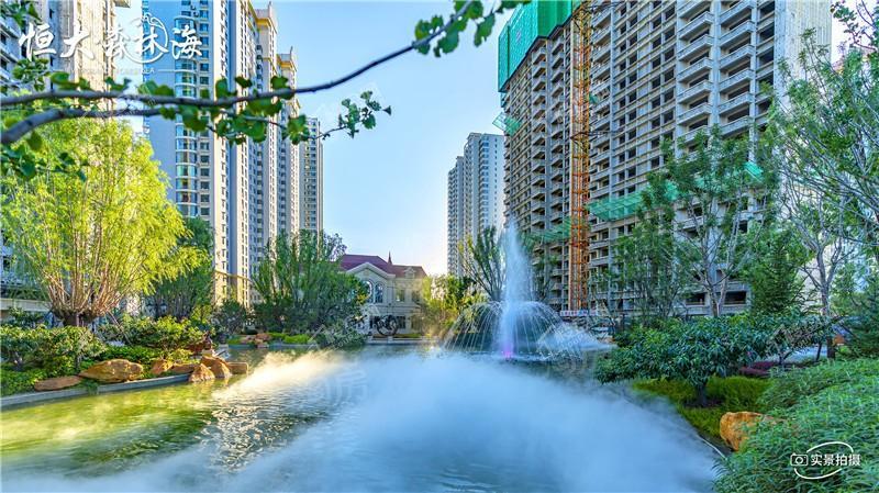 恒大森林海实景图