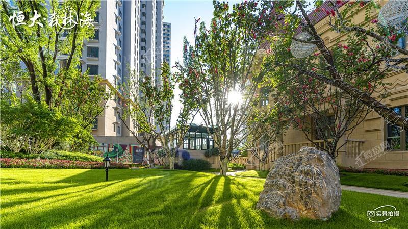 恒大森林海实景图