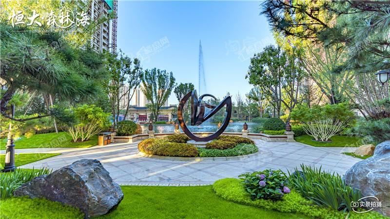 恒大森林海实景图