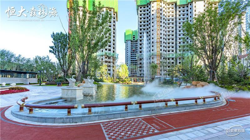 恒大森林海实景图