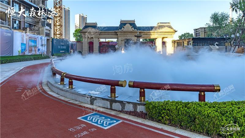 恒大森林海实景图