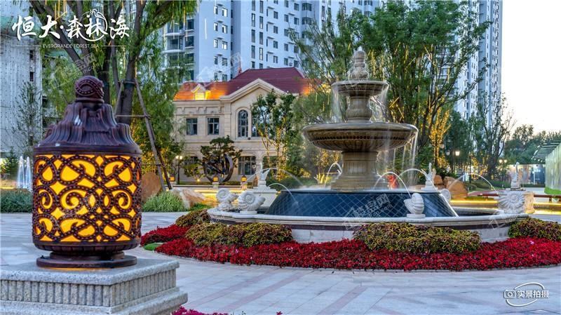 恒大森林海实景图