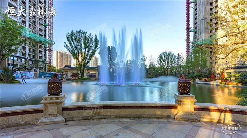 恒大森林海实景图