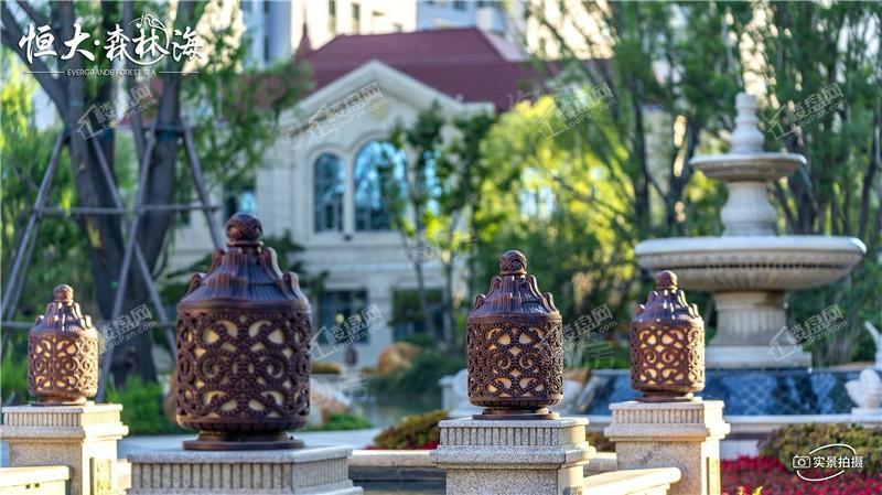 恒大森林海实景图