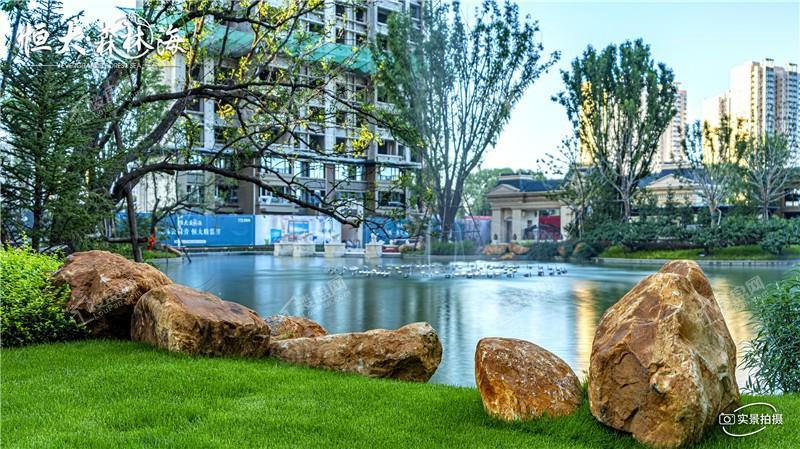 恒大森林海实景图