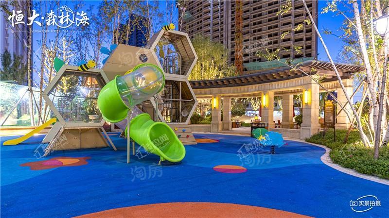 恒大森林海实景图