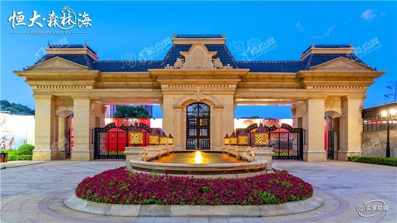 恒大森林海实景图