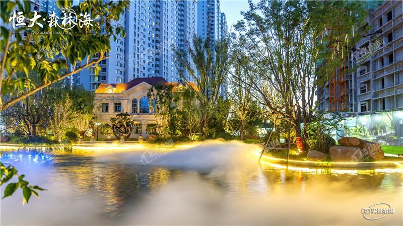 恒大森林海实景图