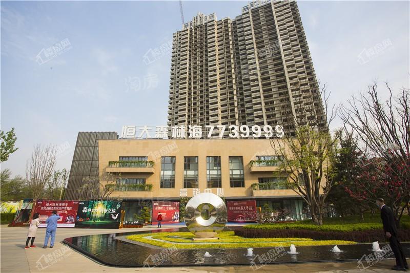 恒大森林海实景图