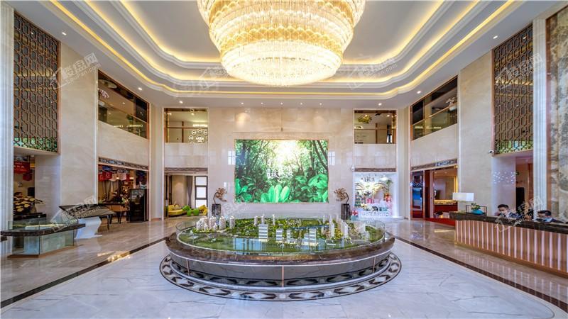 恒大森林海实景图