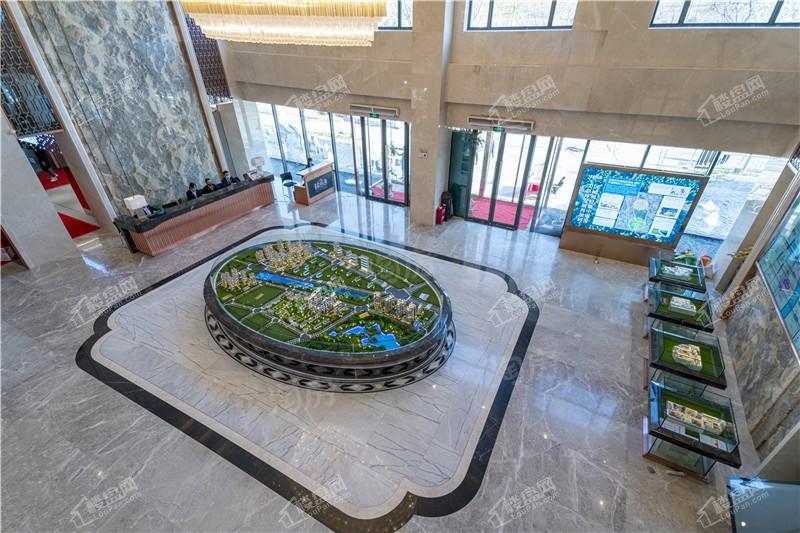 恒大森林海实景图