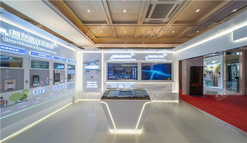 恒大森林海实景图