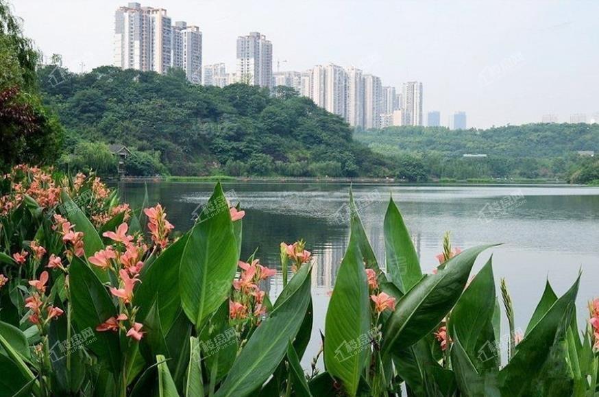 青秀阅山配套图