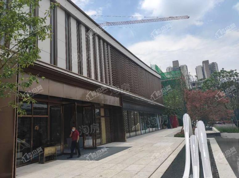 青秀阅山实景图