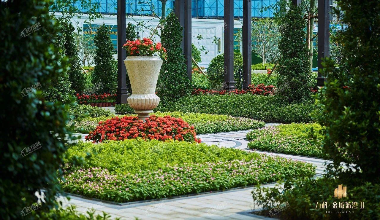 万科金域蓝湾实景图