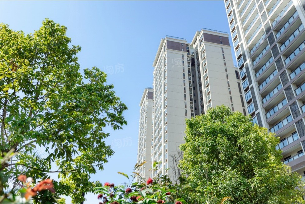 品秀星图tod实景图