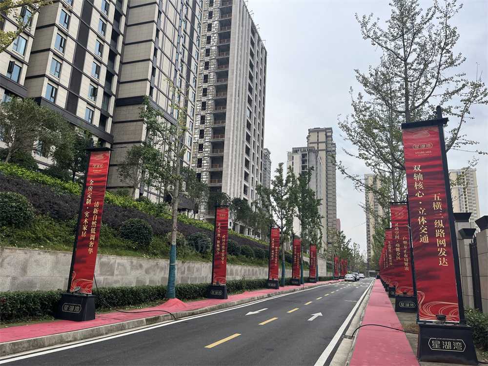 星湖湾价格多少？均价23800元/㎡入手有什么优势？