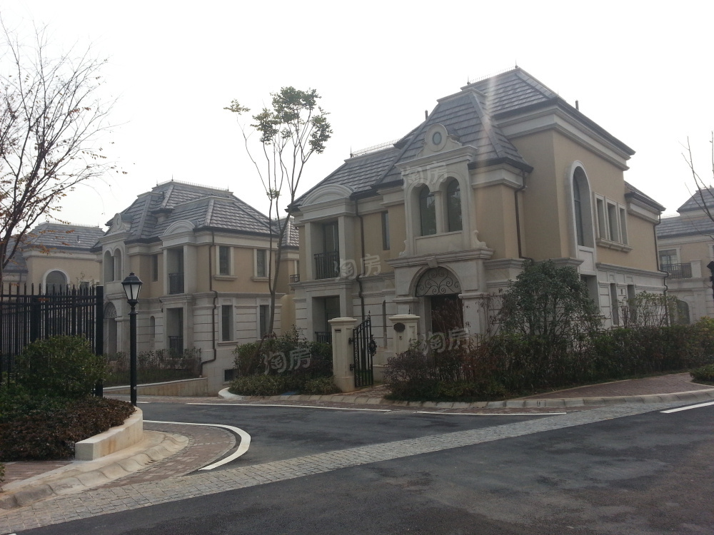 中建汤逊湖壹号别墅