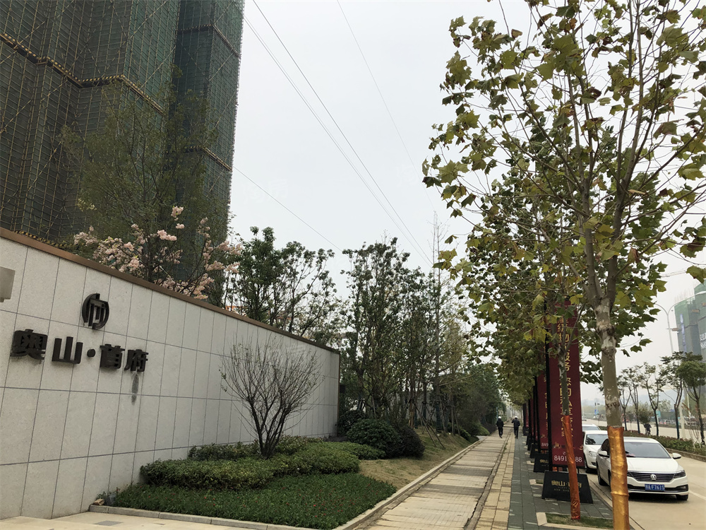 奥山首府相册_效果图_样板间图-武汉淘房网