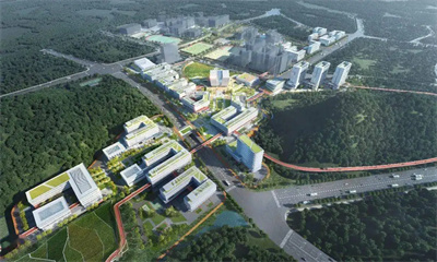 广州番禺发布教育事业发展“十四五”规划！打造高质量现代化教育高地！