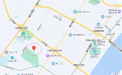 武汉经开区儿童医院西院正式招聘！光谷空轨高架基本成型！