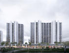 中央财办官宣明年推动房地产行业转型!2025房地产市场有望回暖吗?
