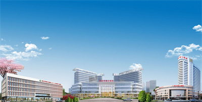 武汉市第三医院武汉新城院区正式开工