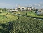 崇明绿地长岛~~倾力打造的上海后花园，实现你对美好生活的所有想象