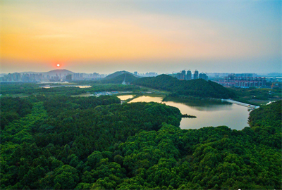 《武汉市2023年绿化工作方案》亮相