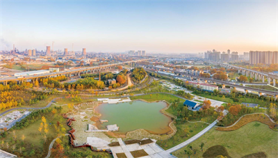 《武汉市2023年绿化工作方案》亮相
