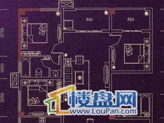 盛龙广场户型图