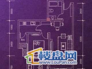 盛龙广场户型图