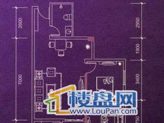 盛龙广场户型图