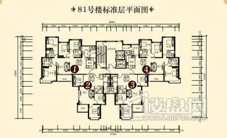 户型图片