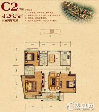 钜和天乐苑户型图