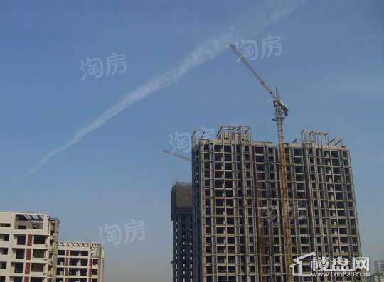 实景图