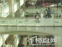 实景图