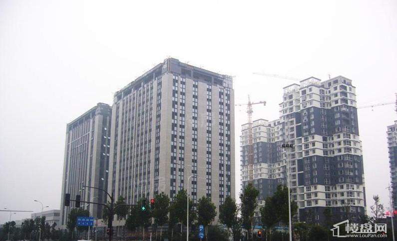 云龙国际实景图